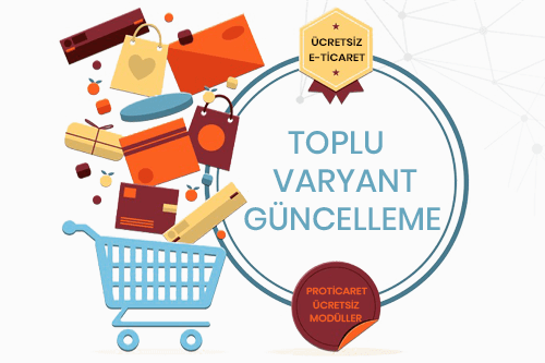 eticaret-e-ticaret-varyant.png