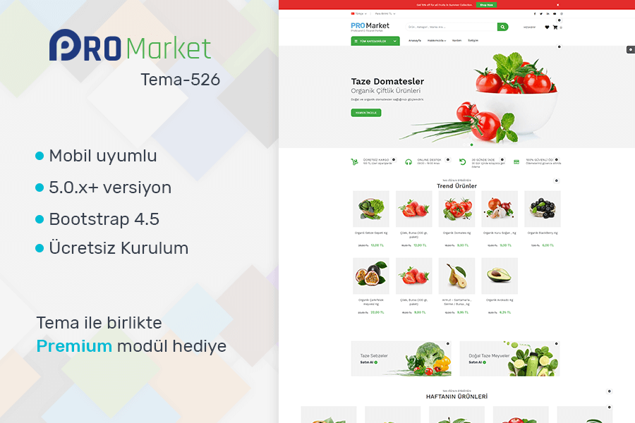 ProTicaret Organik Market Teması 26