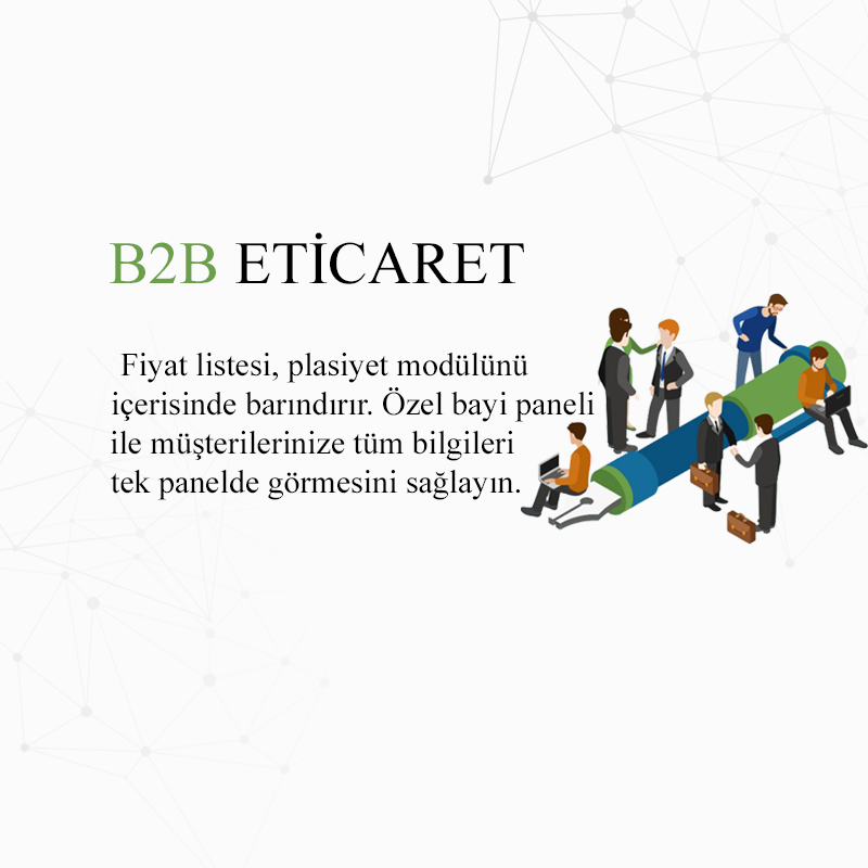 B2B Profesyonel E-Ticaret Paketi