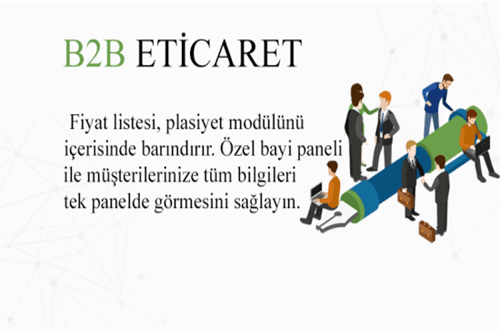 B2B Profesyonel E-Ticaret Paketi